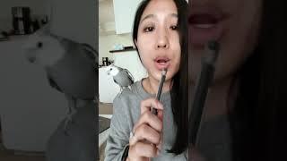 MY BIRD COPYING ME | Cockatiel Shorts