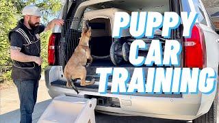 HOW TO TEACH PUPPY TO GET INTO CAR!! BELGIAN MALINOIS // ANDY KRUEGER