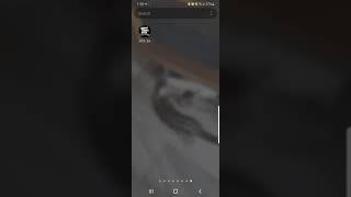 GTA San Andreas Samsung Galaxy S20 NOT WORKING