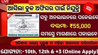 Odisha Block Officer Recruitment 2025 ! Salary 55,000 Per Month ! Odisha Govt Jobs 2025