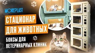 Стационар для животных. Боксы для ветеринарных клиник. Передержка животных