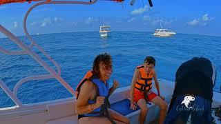 Best Cancun whaleshark tour| Captain Whale shark