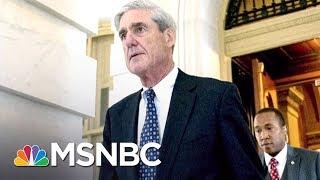 How Robert Mueller Is Prosecuting Russia Probe Like A Mob Case | The 11th Hour | MSNBC