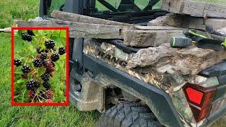 Modern Homesteading VLOG-Southern Illinois farm vlog from Kapper Outdoors