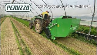 Trincia con raccolta per colture orticole PERUZZO / Mower with collection for horticultural PERUZZO