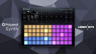 Polyend Synth Demo: Limbic Bits Sound Pack with Free Presets for Ambient, Dub Techno and Electronica