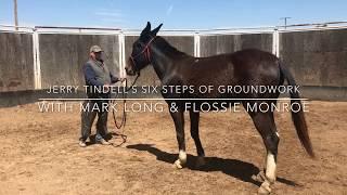 Jerry Tindell - Groundwork: Lesson 1