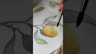 Уроки рисования для начинающих