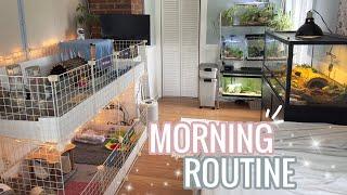 My Morning Routine With 10+ Pets