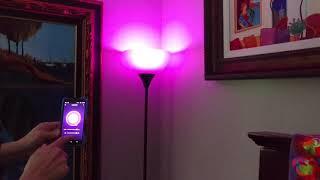 Gosund Smart WiFi LED Light Bulb Review