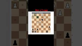 Мат в 2 хода. Отрывок с занятия. #chess777 #chess #шахматы #топ #обучение