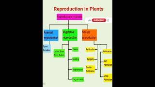 Reproduction in plants class 12 #shorts