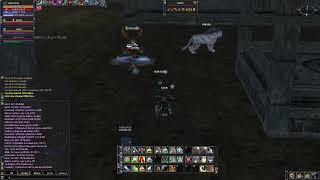 Lineage 2 elmorelab.com Lionna x5