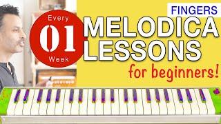 Melodica Lessons for Beginners [01] 'Fingers'