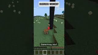 BUGROCK MOMENT| #minecraftbugrock #bugrock