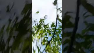 2025 First Crash 
