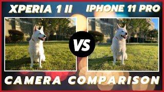 Sony Xperia 1 ii vs iPhone 11 Pro Max Camera Comparison