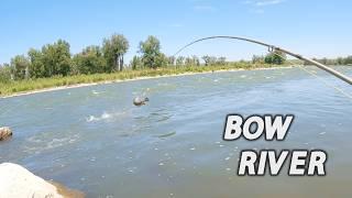 The Bow River GRIND is a beautiful thing