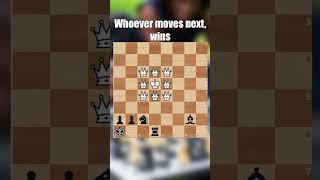 Cute chess problem