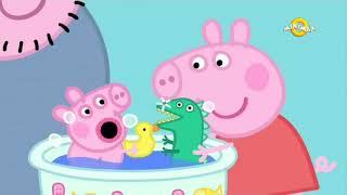 Purcelusa Peppa S3E35 in romana Cartoon KIDS Bebelusul Alexander