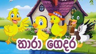 තාරා ගෙදර |  Kathandara | Cartoon | Lama Katha