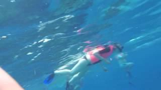 Mexico Cozumel , snorkeling , 2017 full hd