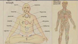 Yoga | The Art of Transformation