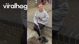 Dog Trained to Protect || ViralHog