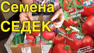 Семена СЕДЕК. Обзор Семян Томатов. Распаковка посылки.