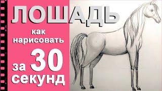 Как нарисовать лошадь Рисуем лошадь за 30 секунд.