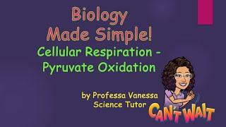 Biology Made Simple! Cellular Respiration - Pyruvate Oxidation