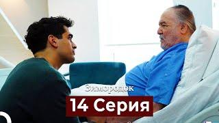 Зимородок 14 Cерия (Русский дубляж)