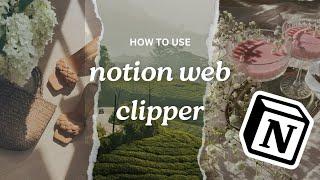 How Notion Web Clipper will make your life easier