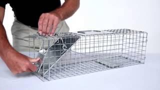 How to Set: Havahart® Medium 1-Door Trap Model #1078 for Skunks, Rabbits & Squirrels