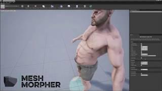 (Tutorial)  Unreal Engine Mesh Morpher 1.2.5 - Import Standalone Morph Targets