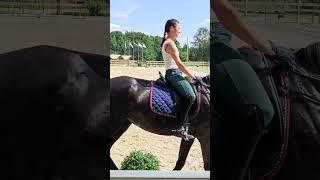 Оксана Новикова и Дольче Вита, съездка кюра 2024 г.  #horse #equestrian #лошади #pony