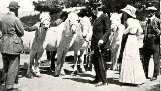 'The Oates Collection' - Access Film for Captain Lawrence Oates Gallery