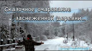 Тихая и спокойная жизнь в заснеженной лесной деревушке где-то в Тверской области, снято на iPhone