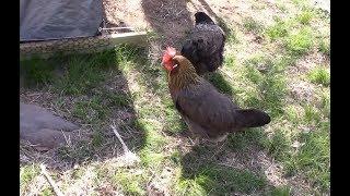 Why We Watch Off Grid With Doug And Stacy