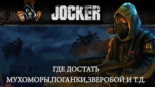 Stalker Online Где достать мухоморы,поганки,зверобой и т.д.