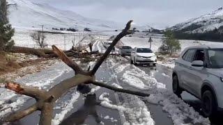 Devastating floods in South Africa kill 49 people