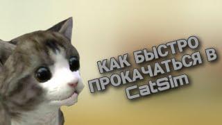 КАК БЫСТРО ПРОКАЧАТЬСЯ В CatSim(провереный способ)