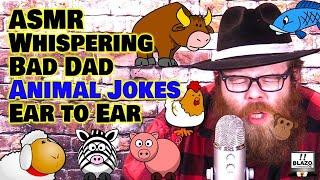 Funny ASMR Bad Dad Jokes - Animal Jokes Whispered Ear to Ear for Relaxation