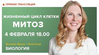 Биология| Жизненный цикл клетки. Митоз.