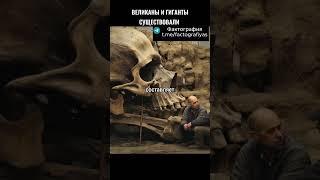 Великаны и гиганты существовали #факты #история