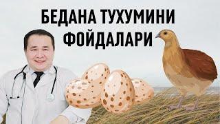 БЕДАНА ТУХУМИНИ АЁЛ ВА ЭРКАКГА  7-ШИФО ФОЙДАЛАРИ / ЗЎР ГАПЛАР БЎЛДИ ЛЕКИН