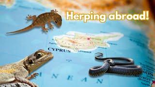 REPTILES OF CYPRUS!