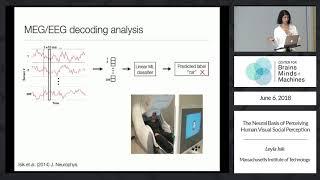 The Neural Basis of Perceiving Human Visual Social Perception