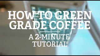 How To Green Grade Coffee [A 2 Minute Tutorial]