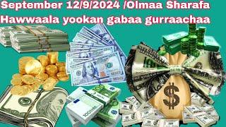 September 12/9/2024/ Olmaan Sharafa guyyaa hardhaa gabaa gurraachaan.